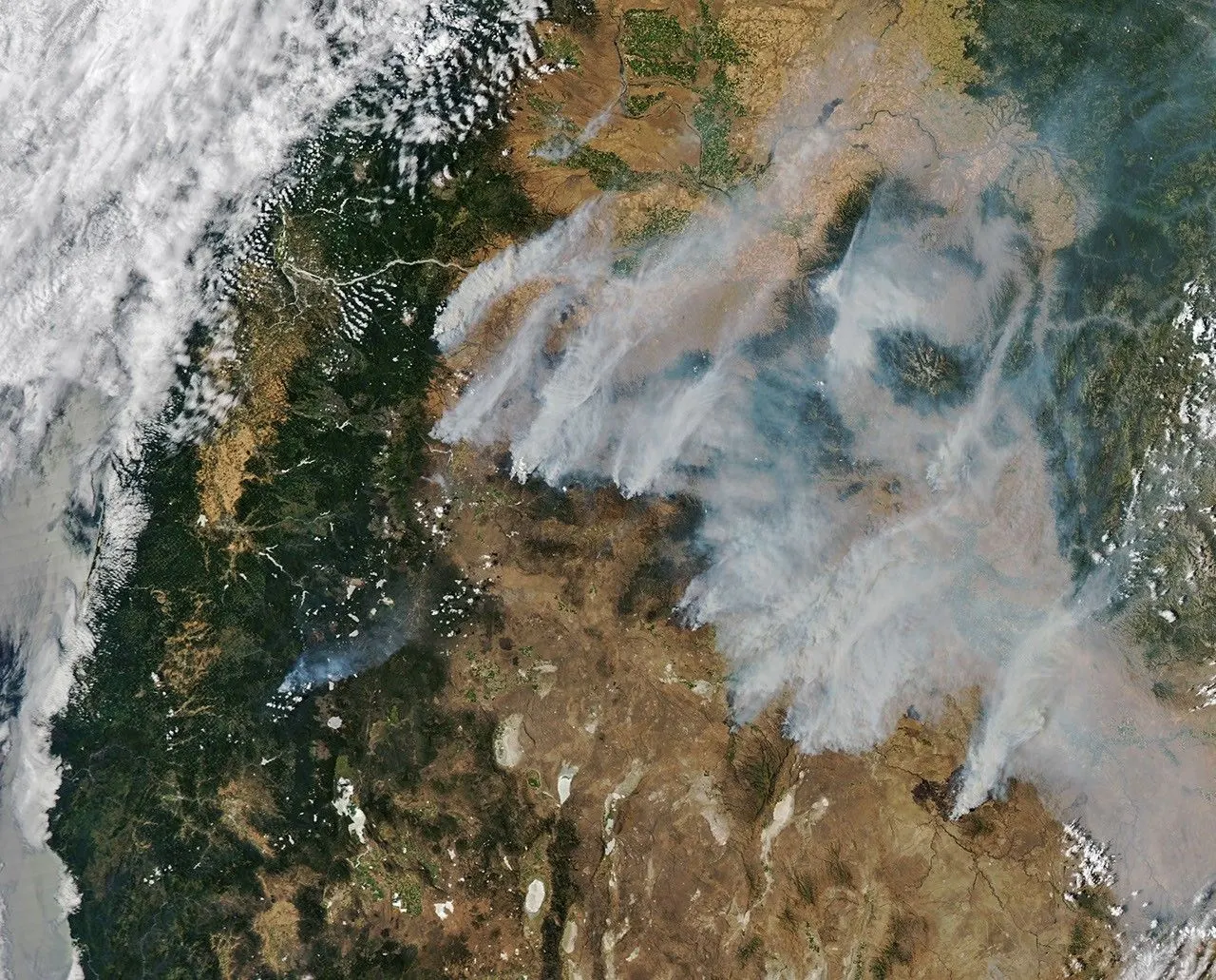 True-color satellite image showing multiple wildfire smoke plumes rising over forest and farmland
